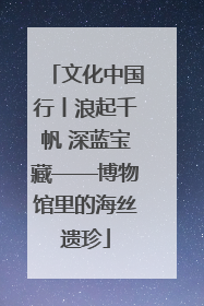 文化中国行丨浪起千帆 深蓝宝藏——博物馆里的海丝遗珍