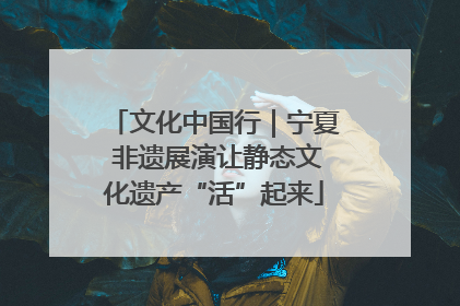 文化中国行｜宁夏 非遗展演让静态文化遗产“活”起来
