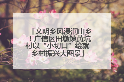 文明乡风浸润山乡！广信区田墩镇黄坑村以“小切口”绘就乡村振兴大图景