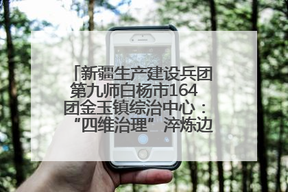 新疆生产建设兵团第九师白杨市164团金玉镇综治中心：“四维治理”淬炼边疆“枫桥样本”