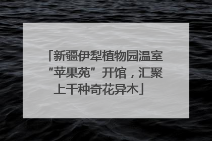 新疆伊犁植物园温室“苹果苑”开馆，汇聚上千种奇花异木