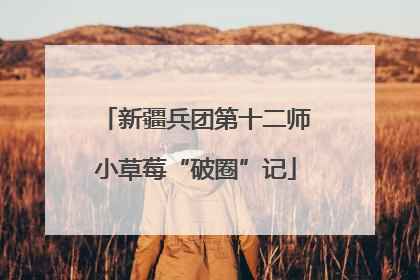 新疆兵团第十二师小草莓“破圈”记