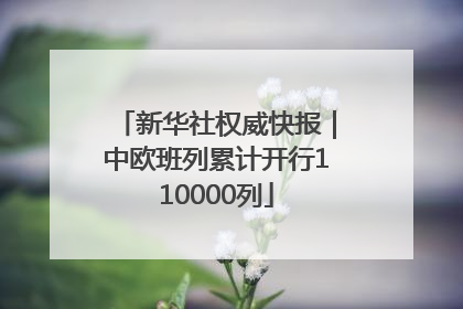 新华社权威快报｜中欧班列累计开行110000列