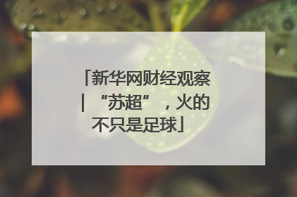 新华网财经观察｜“苏超”，火的不只是足球