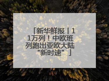 新华鲜报丨11万列！中欧班列跑出亚欧大陆“新时速”