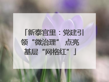 新泰宫里：党建引领“微治理” 点亮基层“网格红”