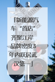 新能源汽车“首店”齐聚江岸 品牌密度3年内跃居武汉第一