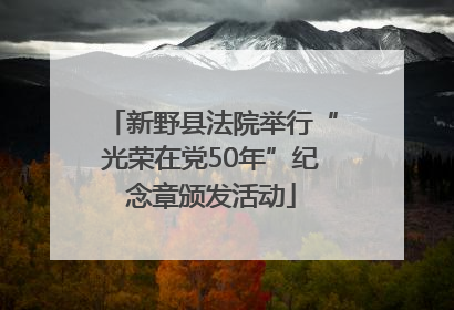 新野县法院举行“光荣在党50年”纪念章颁发活动