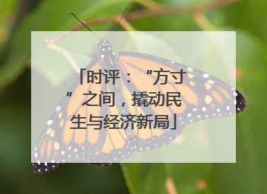 时评：“方寸”之间，撬动民生与经济新局