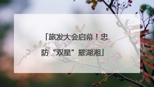 旅发大会启幕！忠防“双星”耀湖湘