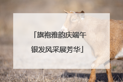 旗袍雅韵庆端午 银发风采展芳华