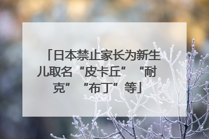 日本禁止家长为新生儿取名“皮卡丘”“耐克”“布丁”等