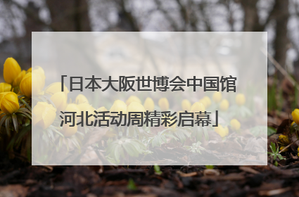 日本大阪世博会中国馆河北活动周精彩启幕