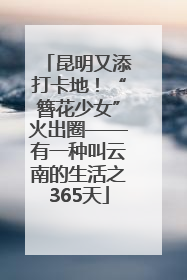 昆明又添打卡地！“簪花少女”火出圈——有一种叫云南的生活之365天
