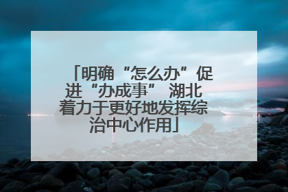 明确“怎么办”促进“办成事” 湖北着力于更好地发挥综治中心作用