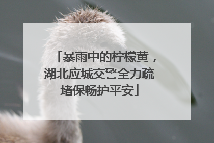 暴雨中的柠檬黄，湖北应城交警全力疏堵保畅护平安