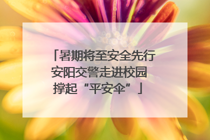 暑期将至安全先行 安阳交警走进校园撑起“平安伞”