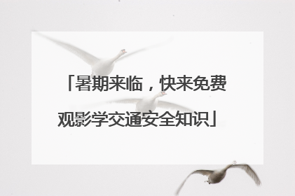 暑期来临，快来免费观影学交通安全知识