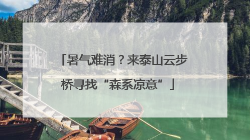 暑气难消？来泰山云步桥寻找“森系凉意”
