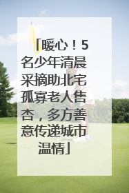暖心！5名少年清晨采摘助北宅孤寡老人售杏，多方善意传递城市温情
