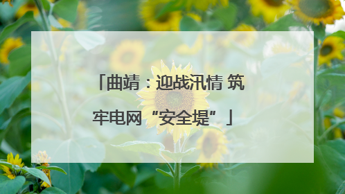 曲靖：迎战汛情 筑牢电网“安全堤”