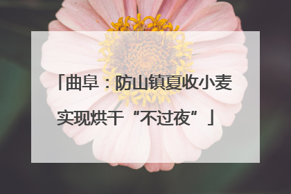 曲阜：防山镇夏收小麦实现烘干“不过夜”