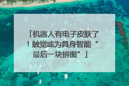 机器人有电子皮肤了！触觉或为具身智能“最后一块拼图”