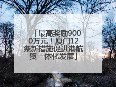 最高奖励9000万元！厦门12条新措施促进港航贸一体化发展