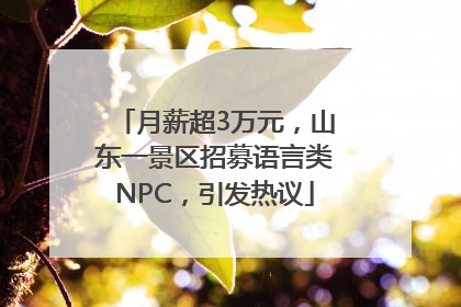 月薪超3万元，山东一景区招募语言类NPC，引发热议