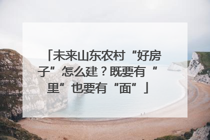 未来山东农村“好房子”怎么建？既要有“里”也要有“面”