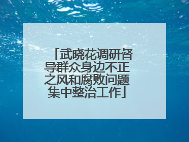 武晓花调研督导群众身边不正之风和腐败问题集中整治工作