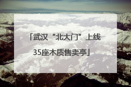 武汉“北大门”上线35座木质售卖亭