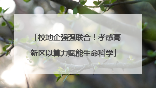 校地企强强联合！孝感高新区以算力赋能生命科学