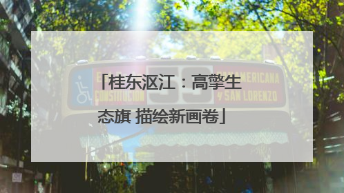 桂东沤江：高擎生态旗 描绘新画卷