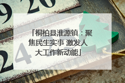桐柏县淮源镇：聚焦民生实事 激发人大工作新动能