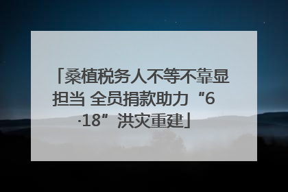 桑植税务人不等不靠显担当 全员捐款助力“6·18”洪灾重建