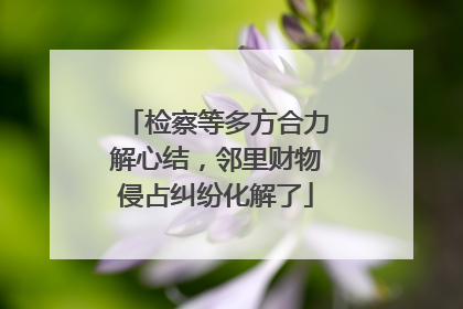检察等多方合力解心结，邻里财物侵占纠纷化解了