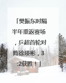 樊振东时隔半年重返赛场，乒超首轮对阵徐瑛彬，3:2获胜！