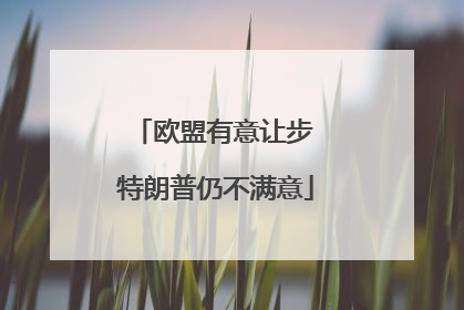 欧盟有意让步 特朗普仍不满意