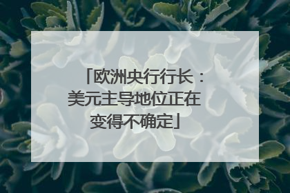 欧洲央行行长：美元主导地位正在变得不确定
