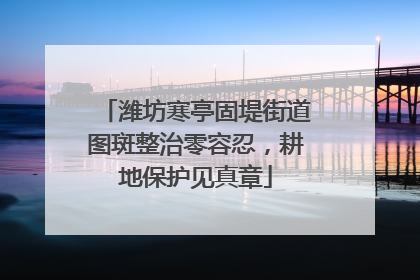 潍坊寒亭固堤街道图斑整治零容忍，耕地保护见真章