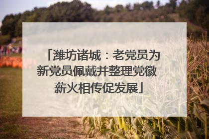 潍坊诸城：老党员为新党员佩戴并整理党徽 薪火相传促发展
