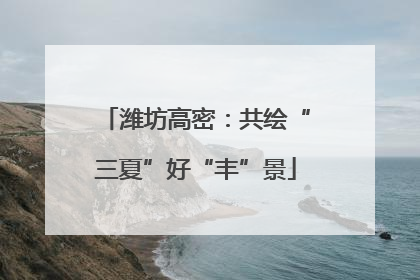 潍坊高密：共绘“三夏”好“丰”景