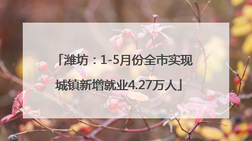 潍坊：1-5月份全市实现城镇新增就业4.27万人