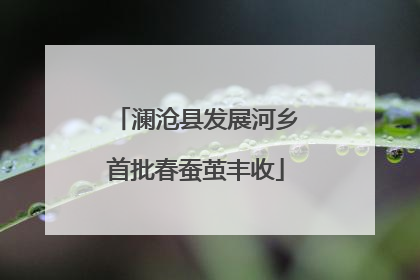 澜沧县发展河乡首批春蚕茧丰收