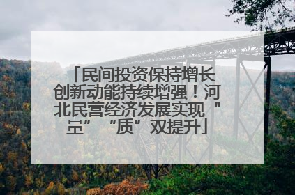 民间投资保持增长 创新动能持续增强！河北民营经济发展实现“量”“质”双提升