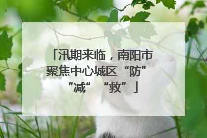 汛期来临，南阳市聚焦中心城区“防”“减”“救”