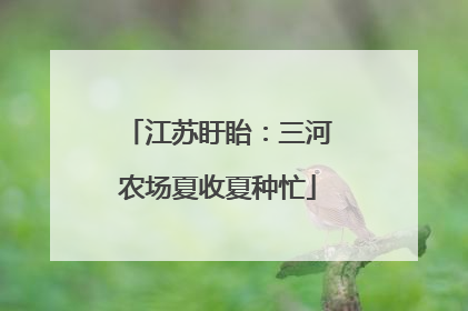 江苏盱眙：三河农场夏收夏种忙