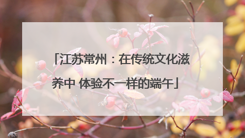 江苏常州：在传统文化滋养中 体验不一样的端午