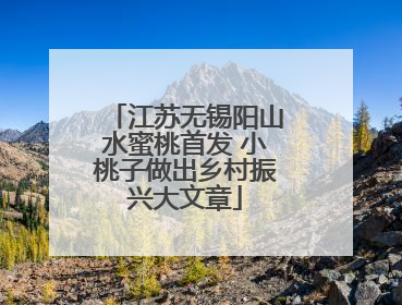 江苏无锡阳山水蜜桃首发 小桃子做出乡村振兴大文章
